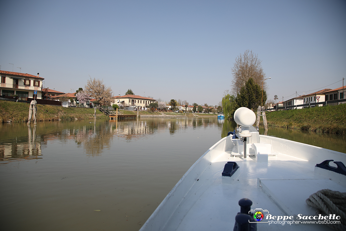 VBS_6858 - Ville Venete sul Brenta.jpg